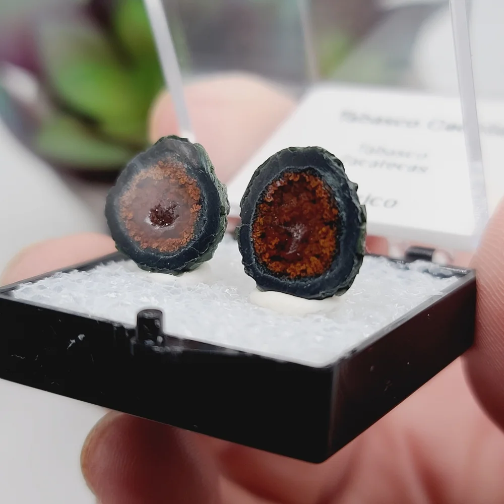 Black & Red Banded Druzy Tabasco Geode Thumbnail Mineral Specimen D